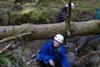 A student climbing on rocks
