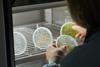 09_Scientist examining plants in a growth chamber © Science Museum Group