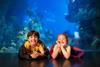 Two pupils sleeping over at The Deep in Hull
