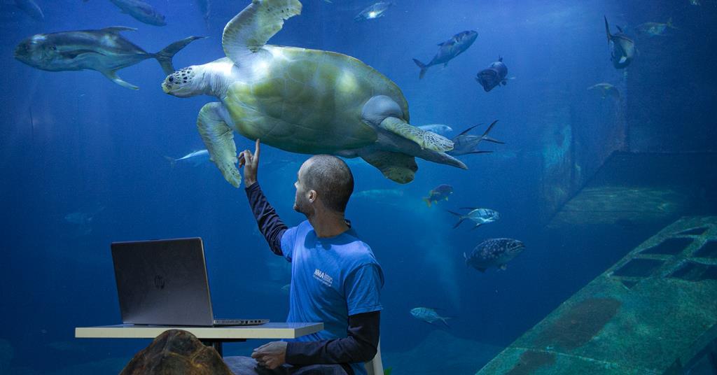 Ocean Conservation Trust provides free weekly online lessons & virtual