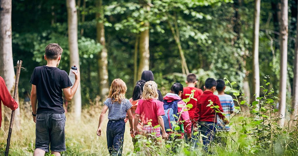 Boughton Woods - The Bushcraft Company - The Great British School Trip