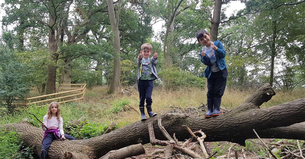 How The Heart Of England Forest Helped A School To ‘check-in’ With ...