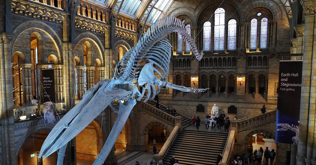 The legends of Earth’s prehistoric oceans at the Natural History …