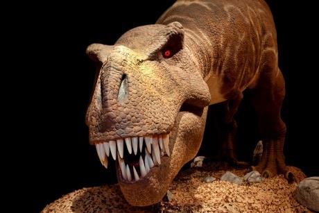 Longleat’s Predators exhibition suitable for all Key Stages | News ...