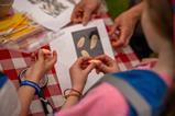 Children looking at seed pods at Kew Wakehurst