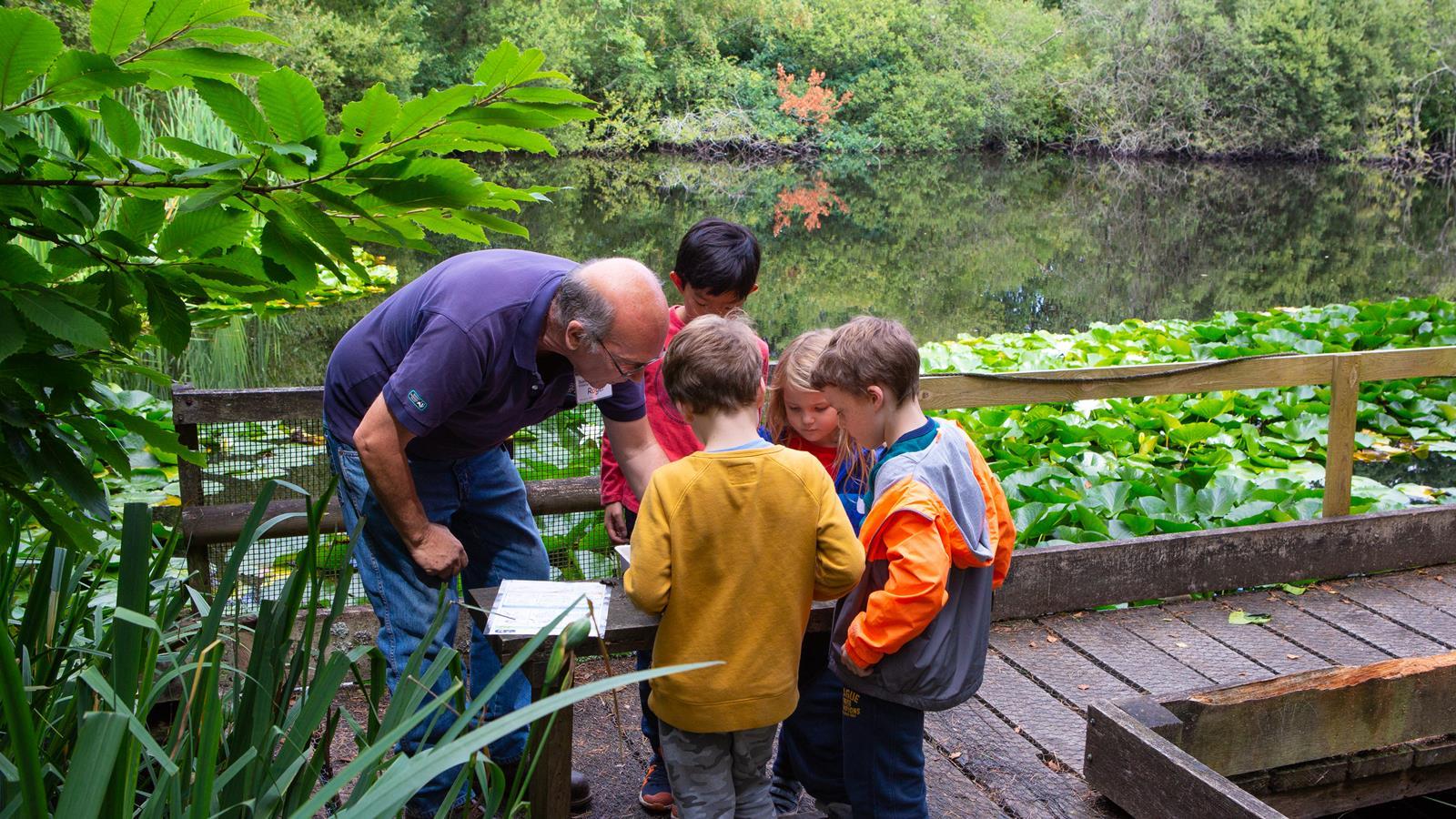 Surrey Wildlife Trust Nower Wood