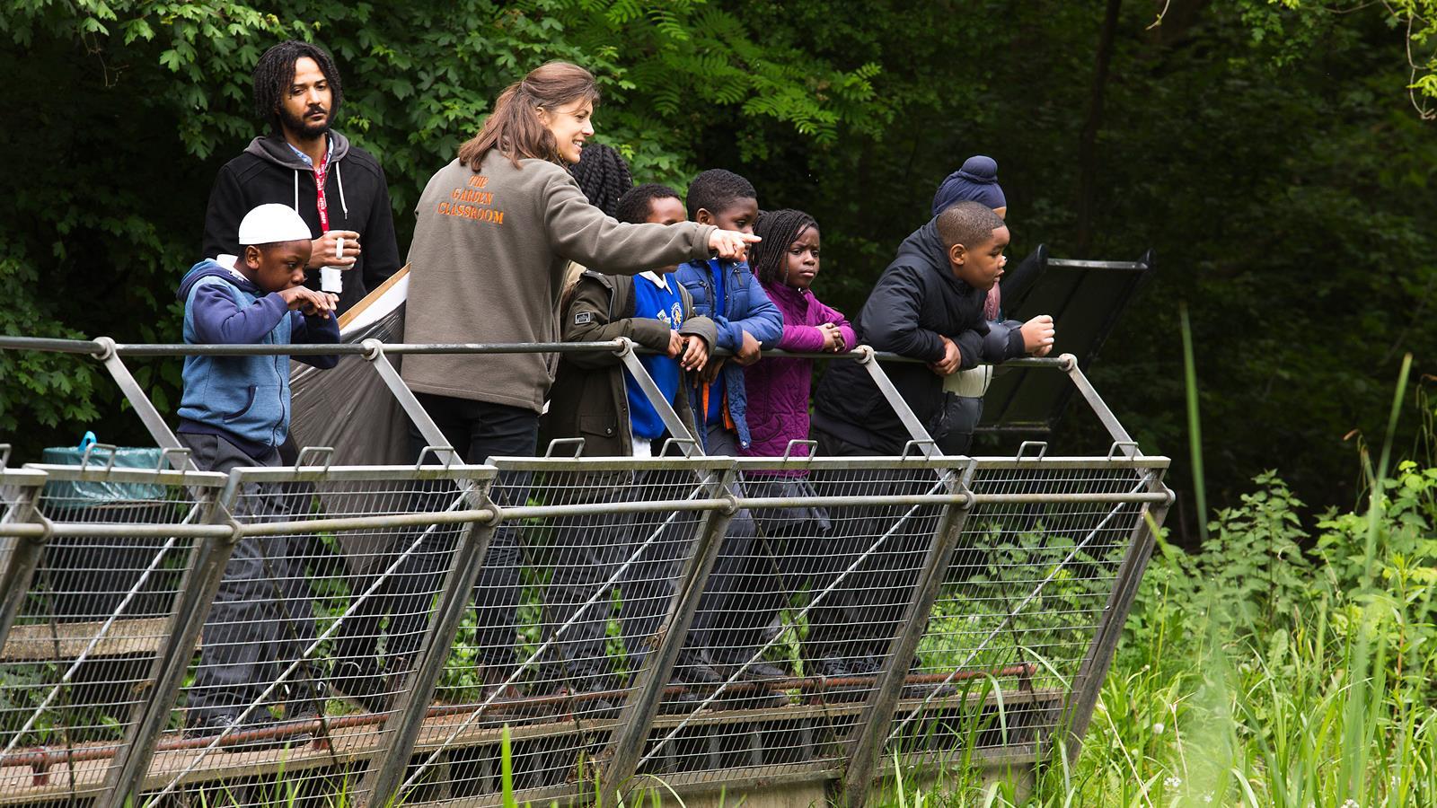 The Garden Classroom