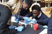 Students doing a science experiment