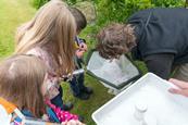 FSC primary pupils explore nature outdoors