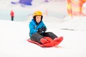 Science%2C Business And Skiing At Chill Factore %7C School Travel News