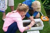 Beth Chatto Education Trust Gardens