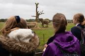 Pupils at ZSL Whipsnade Zoo