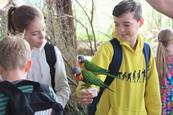 Twycross Zoo