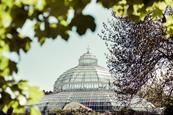 Palm House%2C Sefton Park