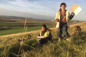 South Downs Field Work