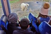 RZSS Highland Wildlife Park