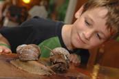 Marvellous Mini-Beasts session