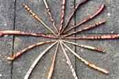 Wand carving