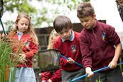 Pond dipping