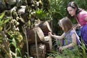 Studfold Farm woodland