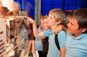 The Science Museum