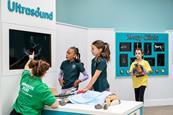ZooTown team lead Lucy, Alana, Florence and Isabella in ZooTown.