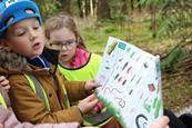 Young children on a school trip look at a bug identification map out in the woods