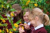 RHS Harlow Carr
