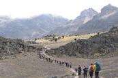 STC Expeditions