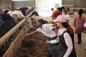 Pupils from Winton Primary School