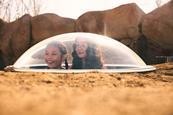 Chester-Zoo