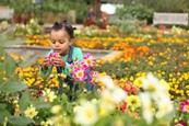 Horniman Museum & Gardens