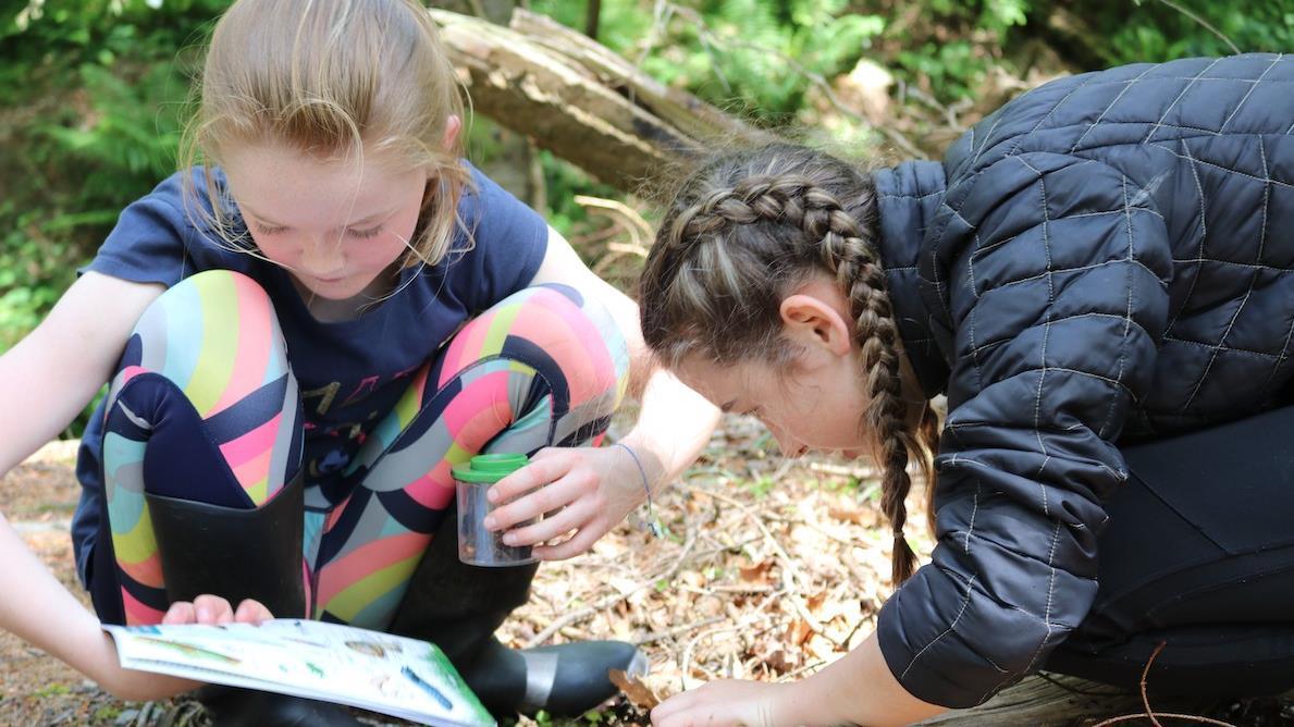 Field Studies Council: celebrating 80 years and 3.7 million student ...