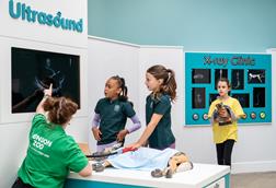 ZooTown team lead Lucy, Alana, Florence and Isabella in ZooTown.