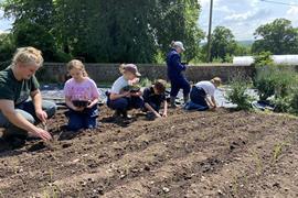 Farms for City Children