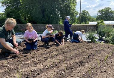 Farms for City Children
