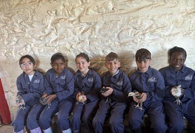 St Woolos Primary School pupils with chicks at the farm