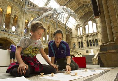 Workshop at the Natural History Museum