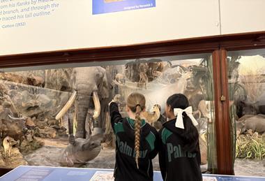 Powell-Cotton Museum school visit