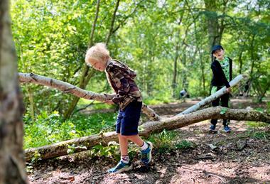 Two young boys carry a large branch in an area of woodland