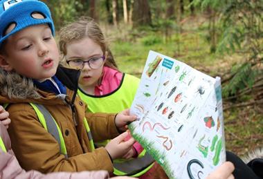 Young children on a school trip look at a bug identification map out in the woods