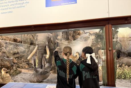 Powell-Cotton Museum school visit