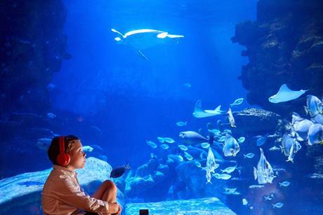 Young boy wearing a headset while watching sea life in an underwater exhibit