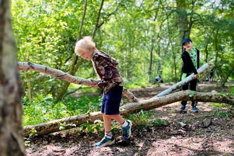 Two young boys carry a large branch in an area of woodland