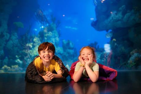 Two pupils sleeping over at The Deep in Hull
