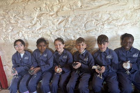 St Woolos Primary School pupils with chicks at the farm