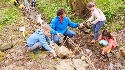 Pond dipping