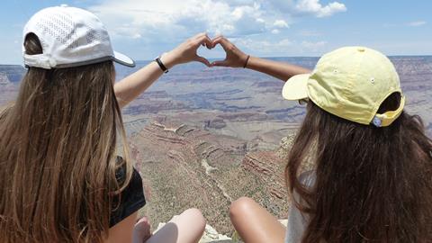 Pupils on a school trip to America