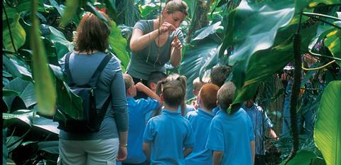 The Living Rainforest School tour