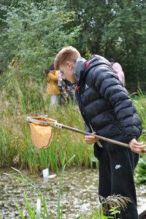 A teenager carries out pond dipping during a Field Studies Council visit